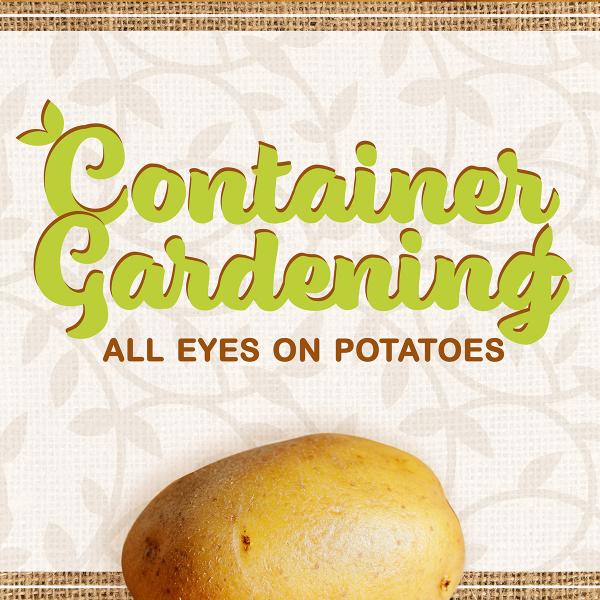 Image for event: Container Gardening: All Eyes on Potatoes