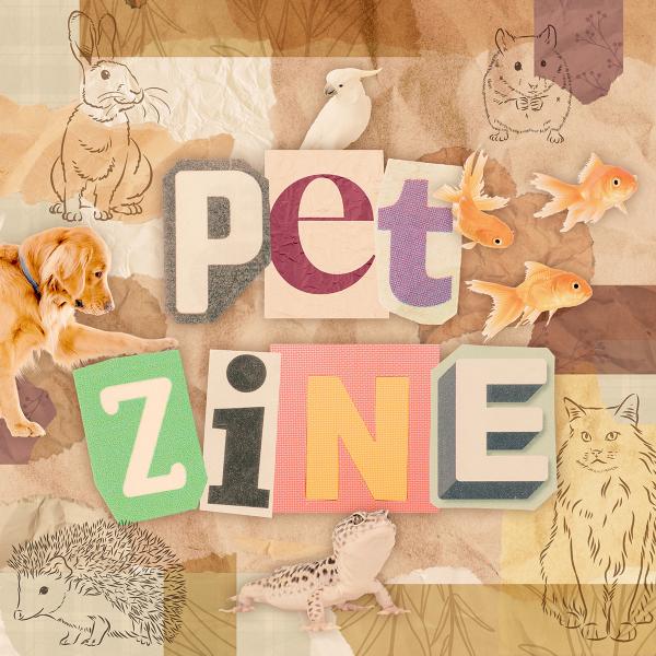 Image for event: Pet Zine